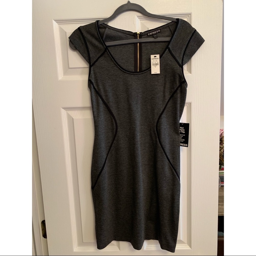 NWT Express Dress
